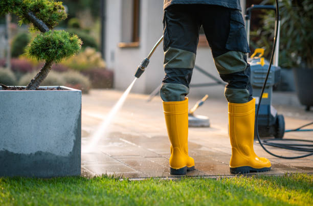 Best Pressure Washing Services Near Me  in USA